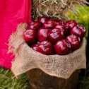 Фотография "Прекрасная и яркая идея для оформления осенней свадьбы - красные яблоки!"
