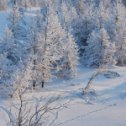 Фотография от Aлександр Вальковский