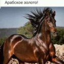 Фотография от ирина Калевич