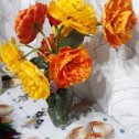Фотография "Спасенные от мороза тюльпаны - 04.05.24"