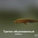 Фотография от Михаил Круглов