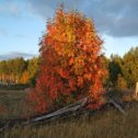 Фотография от Андрей Каманчаджян