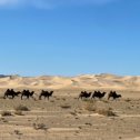 Фотография от Владислав Владимирович Лачкарев