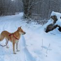 Фотография от Татьяна Рыбалко (Роганова)