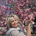 Фотография "Крым 🌸🌸🌸цветение сакуры !
Ваша жизнь - это «сейчас», в эту секунду.
Цените момент. Наслаждайтесь сегодняшним днем, не тратя много времени на размышления о будущем.
Все, что у тебя есть - это "сегодня"."