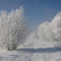 Фотография от Тамара Шевелева