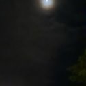Фотография "Вечер в Сочи 9 мая"