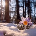 Фотография от 🌈 🎶😊🌸Наталья )))))