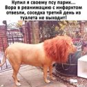 Фотография от василий мигловец