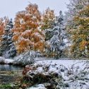 Фотография от андрей сафронов