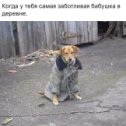 Фотография от Сергей Кубрушко