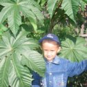 Фотография "Мой сын Ансаф , 6 лет, в УФЕ,"