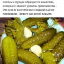 Фотография от Наталья Пашкова