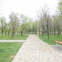 Фотография "Красивый парк, возле реки Волги!"