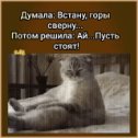 Фотография от Ирина Крауз (Вист)