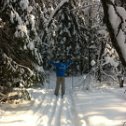 Фотография "очарован невидимкой дремлет лес под сказку сна,
по лыжне ...ячит Димка
надвигается весна"