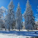 Фотография от Наталья Кузнецова