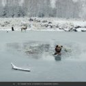 Фотография от Алексей Челышев