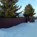 Фотография "Всегда любуюсь кедрами! А в нашем селе они чуть-ли не в каждом дворе. Поэтому и зимой красота. "