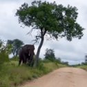 Фотография от ПРОФИЛЬ УДАЛЁН СТРАНИЦА ЗАБЛОКИРОВАНА