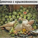 Фотография от Винни Пух