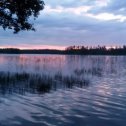 Фотография "Всем спасибо за поздравления!!!
Тольуо что вернулся из отпуска. Озеро в д.Швядришкес Игналинского района.  Рыбалка...грибалка..Погода была супер."