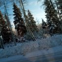 Фотография "Зимняя дорога "