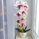 Фотография "В наличии интерьерная композиция орхидейка. Всегда цветёт, нетребовательна в уходе. Спасибо за класс и комментарии."