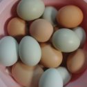 Фотография "Вот такие яйца несут наши курочки."
