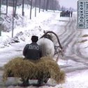 Фотография "ДПС в деревне"