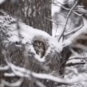 Фотография от Арендарь Валерий