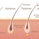 Фотография от Наталья Корнеева