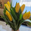 Фотография "Люблю жёлтые тюльпаны)"
