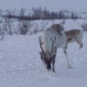 Фотография от Павел Первун