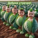 Фотография от Наталья Байраченко (Игнатова)