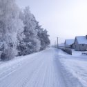 Фотография от Света Сидорук (Шевчук)