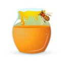 Фотография "Невероятно! Причина того, что мёд так хорошо усваивается – это то, что он уже переварен пчелами.
Все самое интересное здесь --> http://odnoklassniki.ru/game/ywnb?fromalbum"