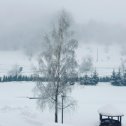 Фотография "Сказка продолжается.Падает тихо снежок."