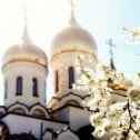 Фотография "Всех православных христиан с Великим Праздником Пасхи 🙏🏻🙏🏻🙏🏻Христос Воскресе !!!❤️❤️❤️"