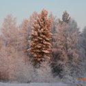 Фотография от Побережный Олег  Россия