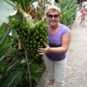 Фотография "У    к а ж д о й    женщины есть такое фото. Это не бананы, на Канарах они называются платанос. Июль 2012г."