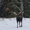 Фотография от АЛЕКСАНДР ЧЕТВЕРИКОВ