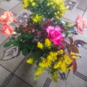 Фотография "Розы 30.09.2023 цветут "