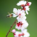 Фотография от ELLEYAfoto Фотограф Тольятти-Самара