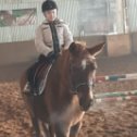 Фотография "Внучка Даша учится ездить на лошадях 👍👍👍"