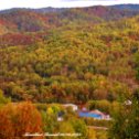 Фотография "Осенние краски Сахалина.Сентябрь 2023 г."