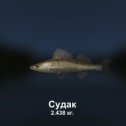 Фотография "https://ok.ru/game/trophyfishing2?105266 Судак, Окуневые, 2.438kg, Волга, Две реки, TFs-10, Поролонка.  #Судак #Окуневые #Волга #Две реки #Поролонка #trophy #fishing #fish #трофейная #рыбалка #рыба"