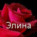 Фотография от ЭЛИНАЧКА 🌹🌹🌹