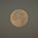 Фотография "Луна сегодня утром. 26.09.2018."