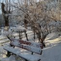 Фотография "В парке старая скамейка впала в дрему зимних дней, белоснежною шубейкой серебрится снег на ней..."